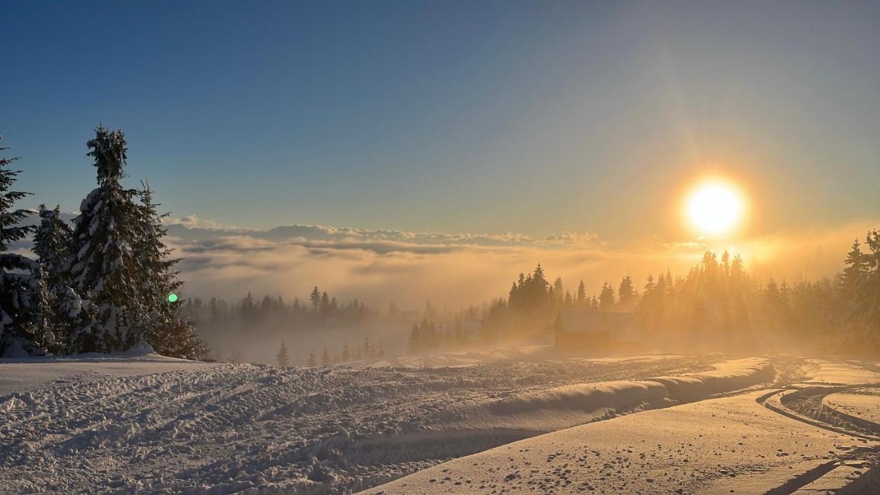 Domek W Gorach- Bacowka U Dudka Nowy Targ Dış mekan fotoğraf