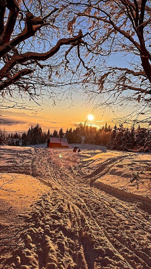 Domek W Gorach- Bacowka U Dudka Nowy Targ Dış mekan fotoğraf
